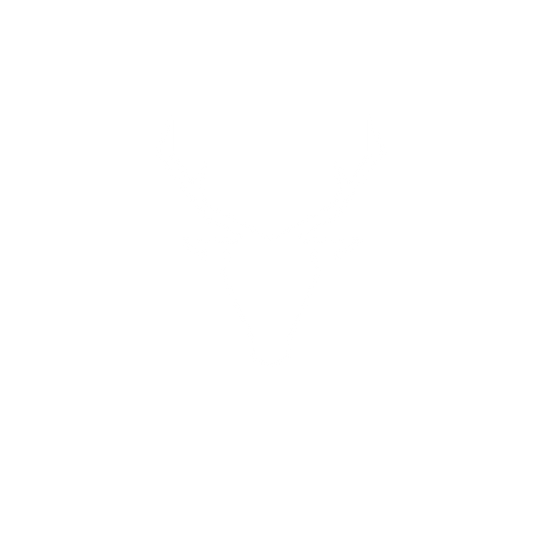 Nomadic Pursuit